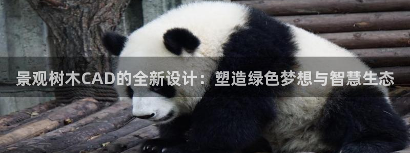 新宝Gg测速地址