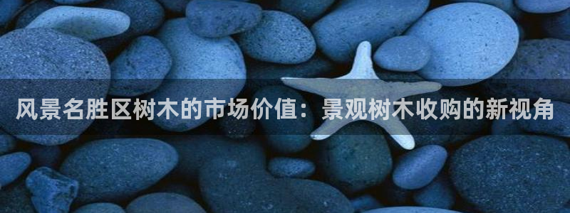 新宝创造Gg：风景名胜区树木的市场价值：景观树木收购的新视角