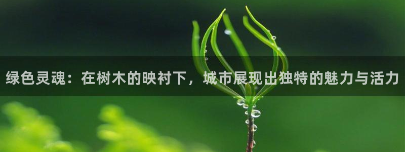 新宝gg—创造