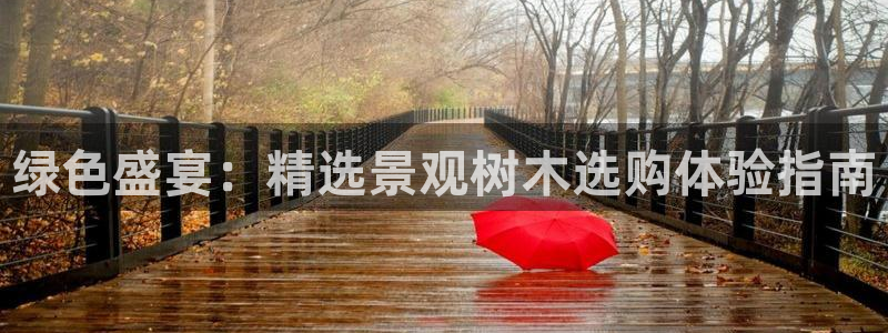 新宝gg主管baidu：绿色盛宴：精选景观树木选购体验指南