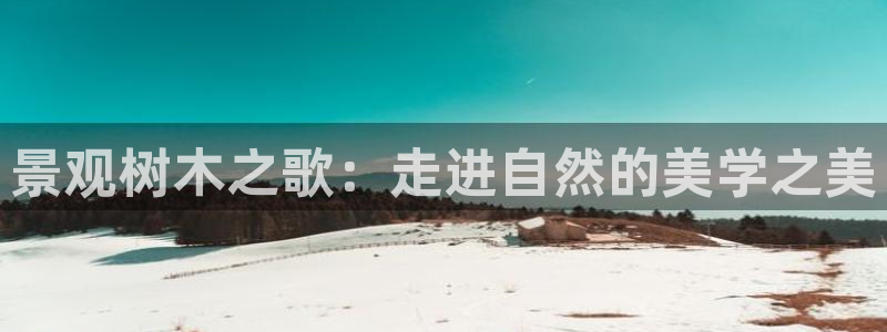 新宝gg时时彩