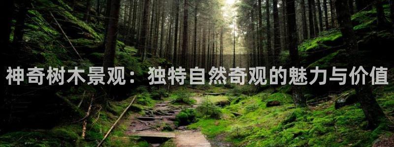 新宝gg时时彩