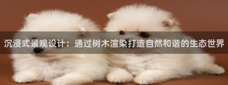 新宝gg走势