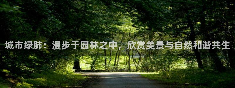 新宝奇迹GG