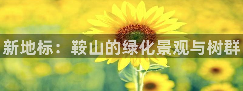 新宝gg开户流程