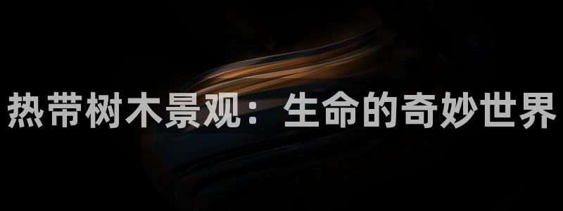 新宝gg申请账号