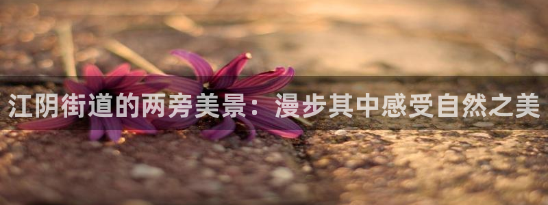 新宝GG—创造奇迹