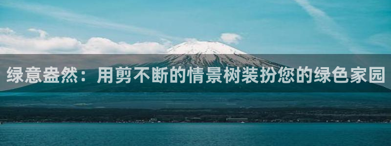 新宝GG—创造奇迹