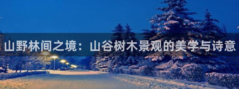 新宝gg群