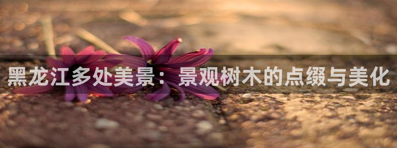 新宝g新宝gg