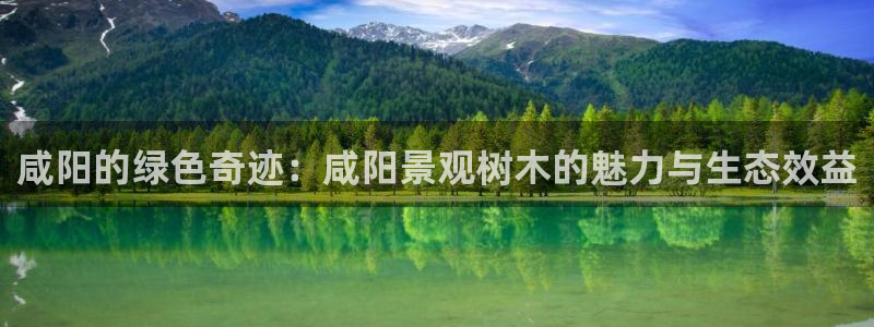 新宝GG专业团队