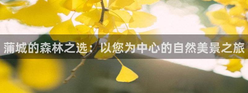 新宝gg反水