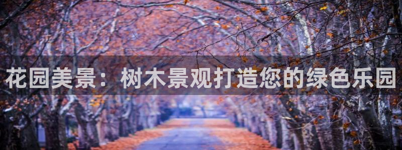 新宝gg创造奇迹登陆