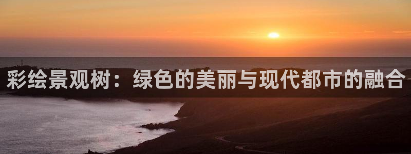 新宝gg入口网址