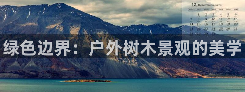 新浪新闻新宝gg