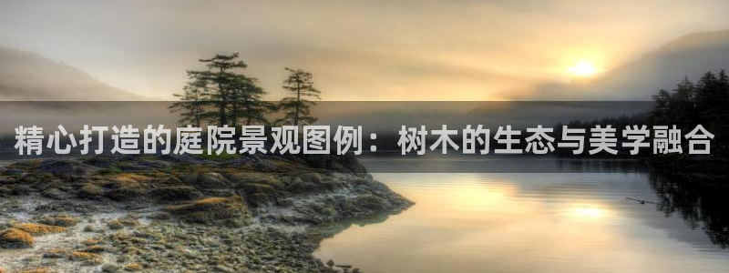 新宝gg主：精心打造的庭院景观图例：树木的生态与美学融合