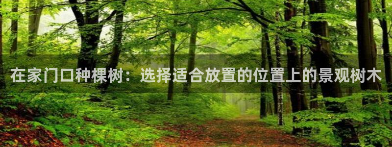 新宝gg咨询55312：在家门口种棵树：选择适合放置的位置上的景观树木