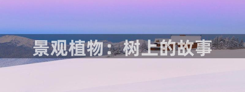 登录新宝GG：景观植物：树上的故事