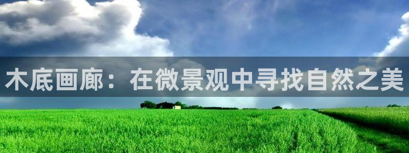 新宝gg娱乐上皇巢网