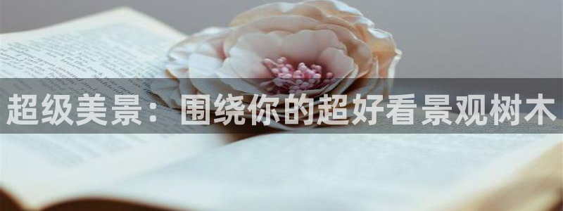 新宝GG电话：超级美景：围绕你的超好看景观树木