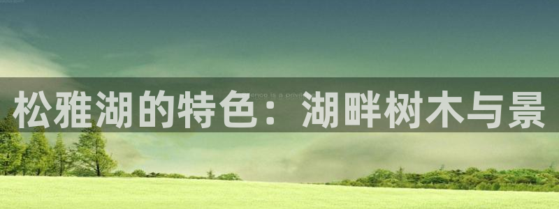 新宝gg登录新：松雅湖的特色：湖畔树木与景