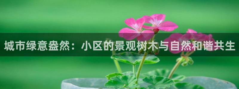 新宝gg开奖结果可信吗