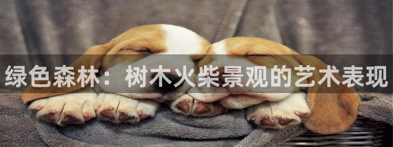 新宝新宝gg开户流程：绿色森林：树木火柴景观的艺术表现