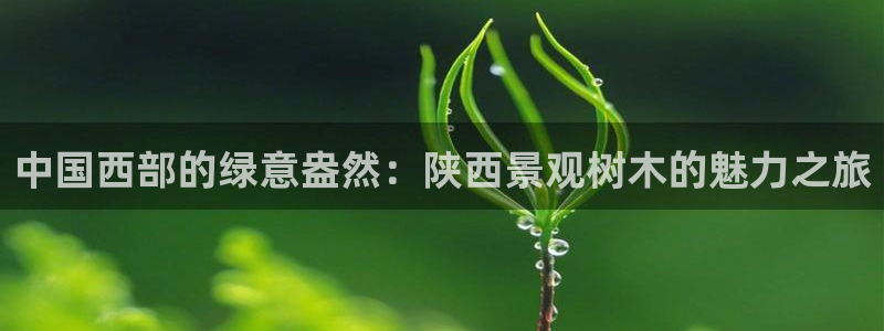 新宝GG啦78778：中国西部的绿意盎然：陕西景观树木的魅力之旅