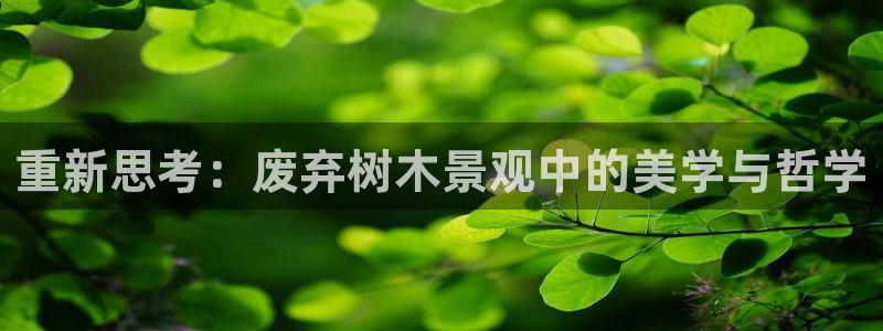 新宝gg客户端下载