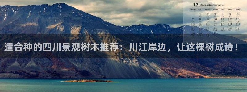 新宝gg代理条件