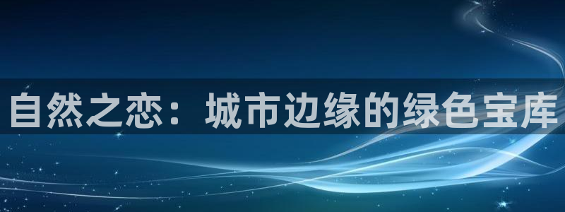 新宝gg登