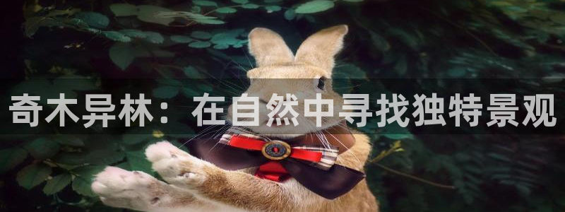 新宝gg计划：奇木异林：在自然中寻找独特景观