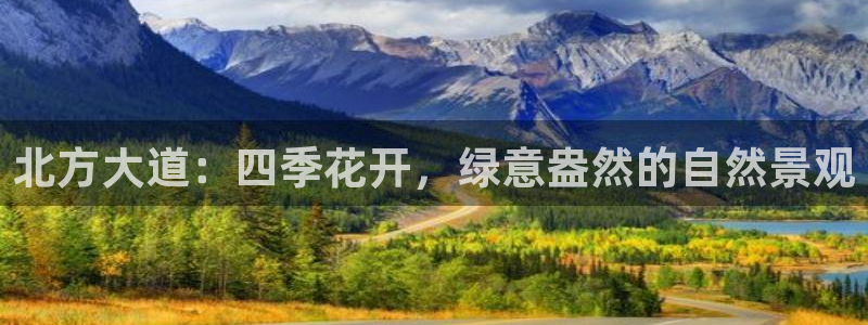 新宝gg娱乐vovq