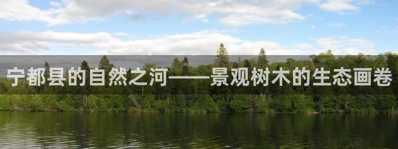 新宝gg创造奇迹登陆