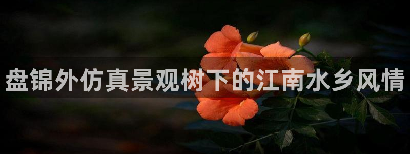 新宝GG都有哪些计划