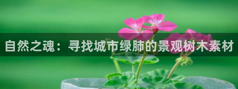 新宝gg直属上级