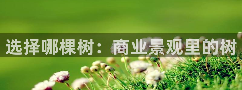 创造奇迹新宝gg