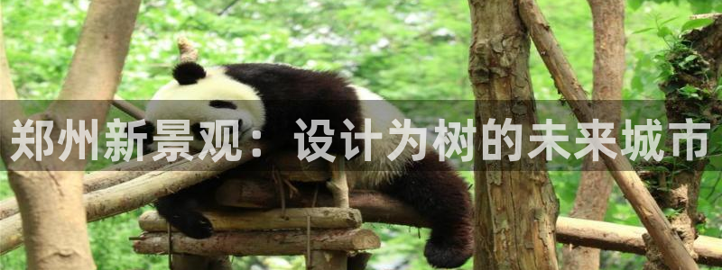 新宝GG娱：郑州新景观：设计为树的未来城市