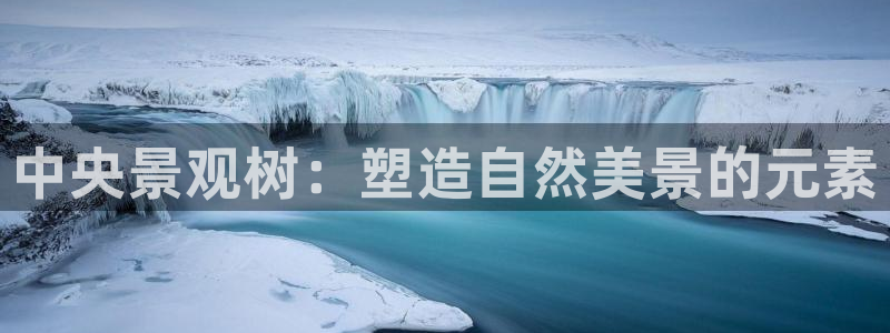 新宝GG反点：中央景观树：塑造自然美景的元素