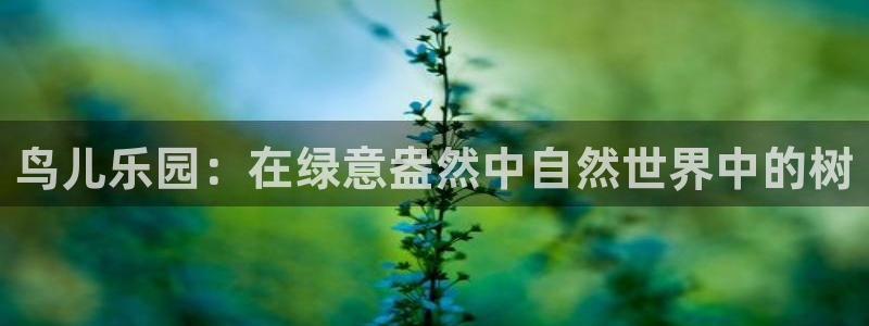新宝GG网址新宝2：鸟儿乐园：在绿意盎然中自然世界中的树