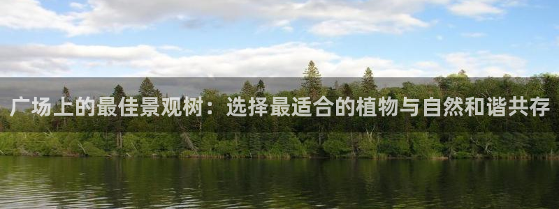 新宝GG挂机：广场上的最佳景观树：选择最适合的植物与自然和谐共存