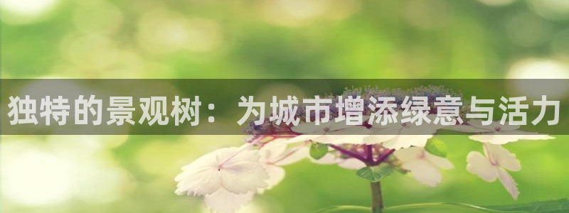 新宝gg开奖结果可信吗：独特的景观树：为城市增添绿意与活力
