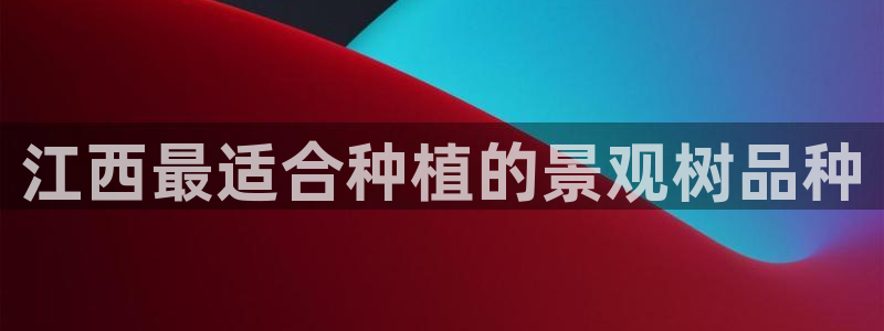 新宝gg是在境外吗