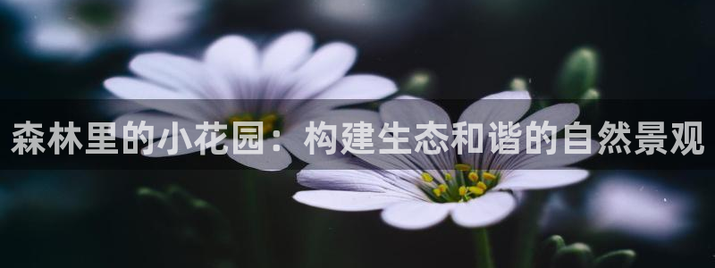 新宝gg平台q891465：森林里的小花园：构建生态和谐的自然景观