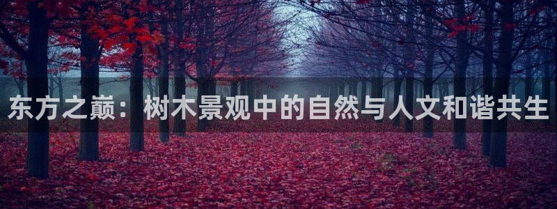 新宝gg娱乐1956：东方之巅：树木景观中的自然与人文和谐共生