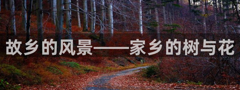 新宝gg如何做到总代理