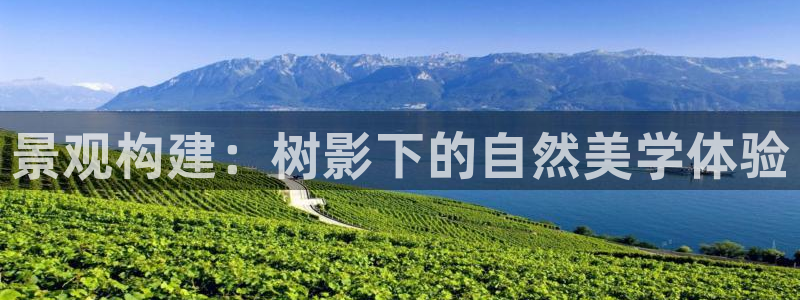 新宝gg主管花木兰