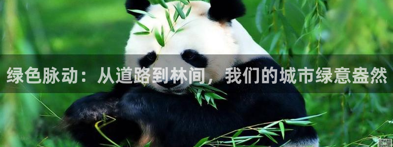 新宝gg挂机软件下载