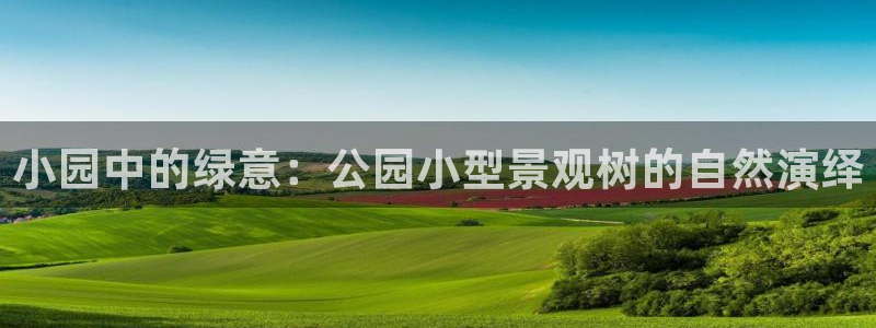 广东新宝电器gg