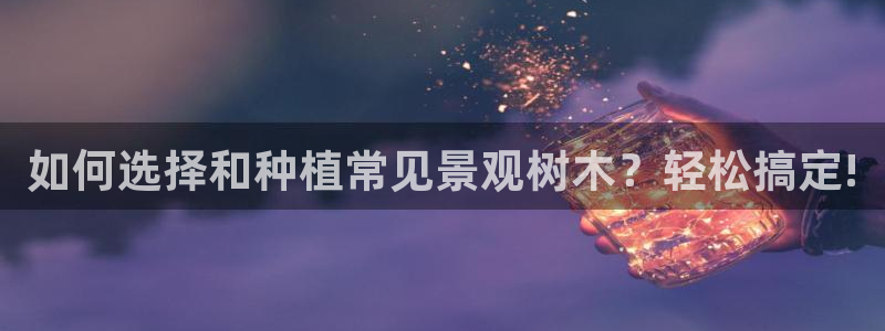 新宝gg金砖彩票